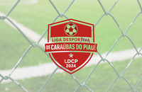 Câmara aprova Matéria do Executivo que reconhece de utilidade pública a Liga Desportiva de Caraúbas do Piauí