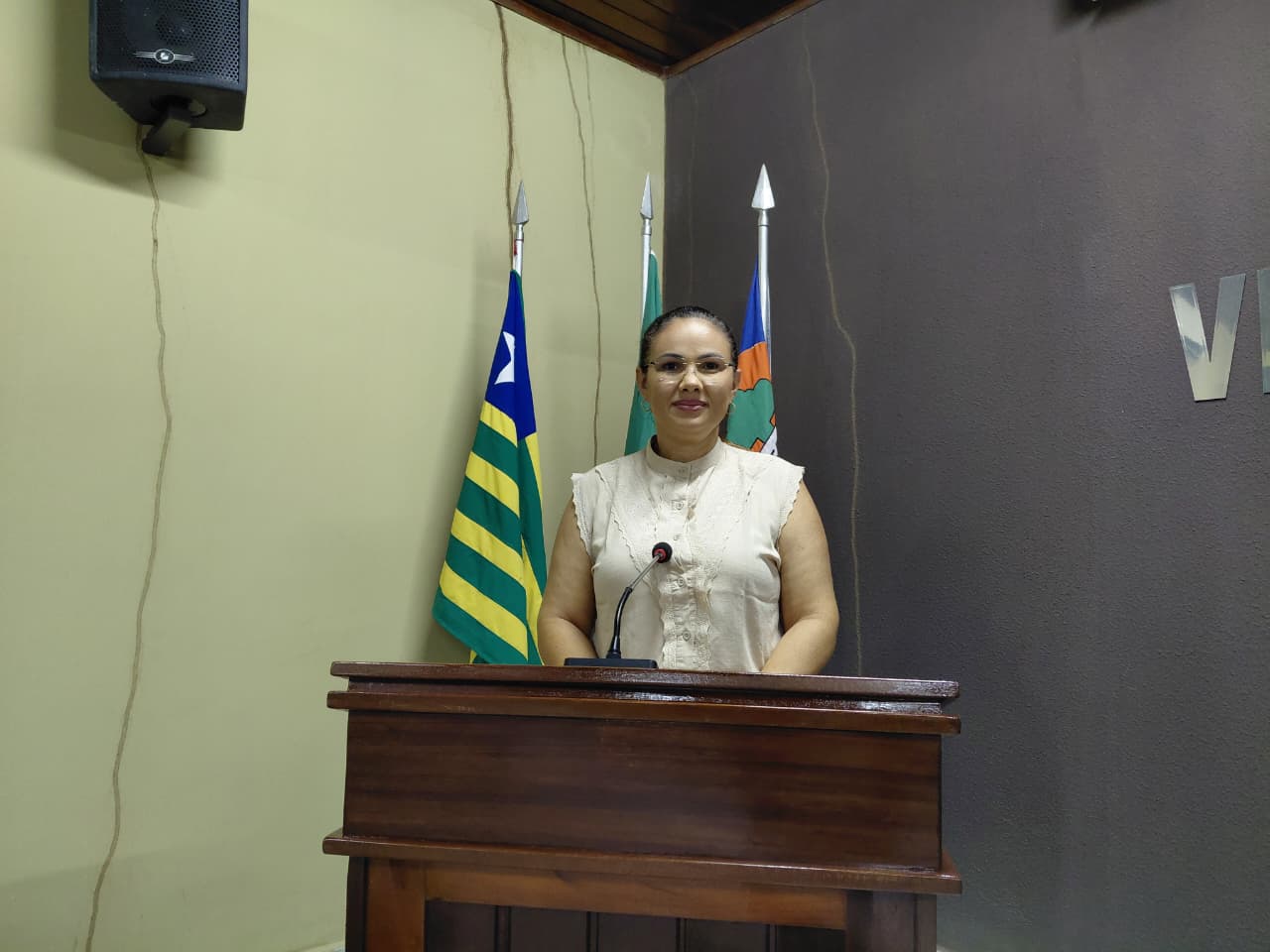 Câmara aprova requerimentos da vereadora Andréa voltados à fiscalização na área da Saúde