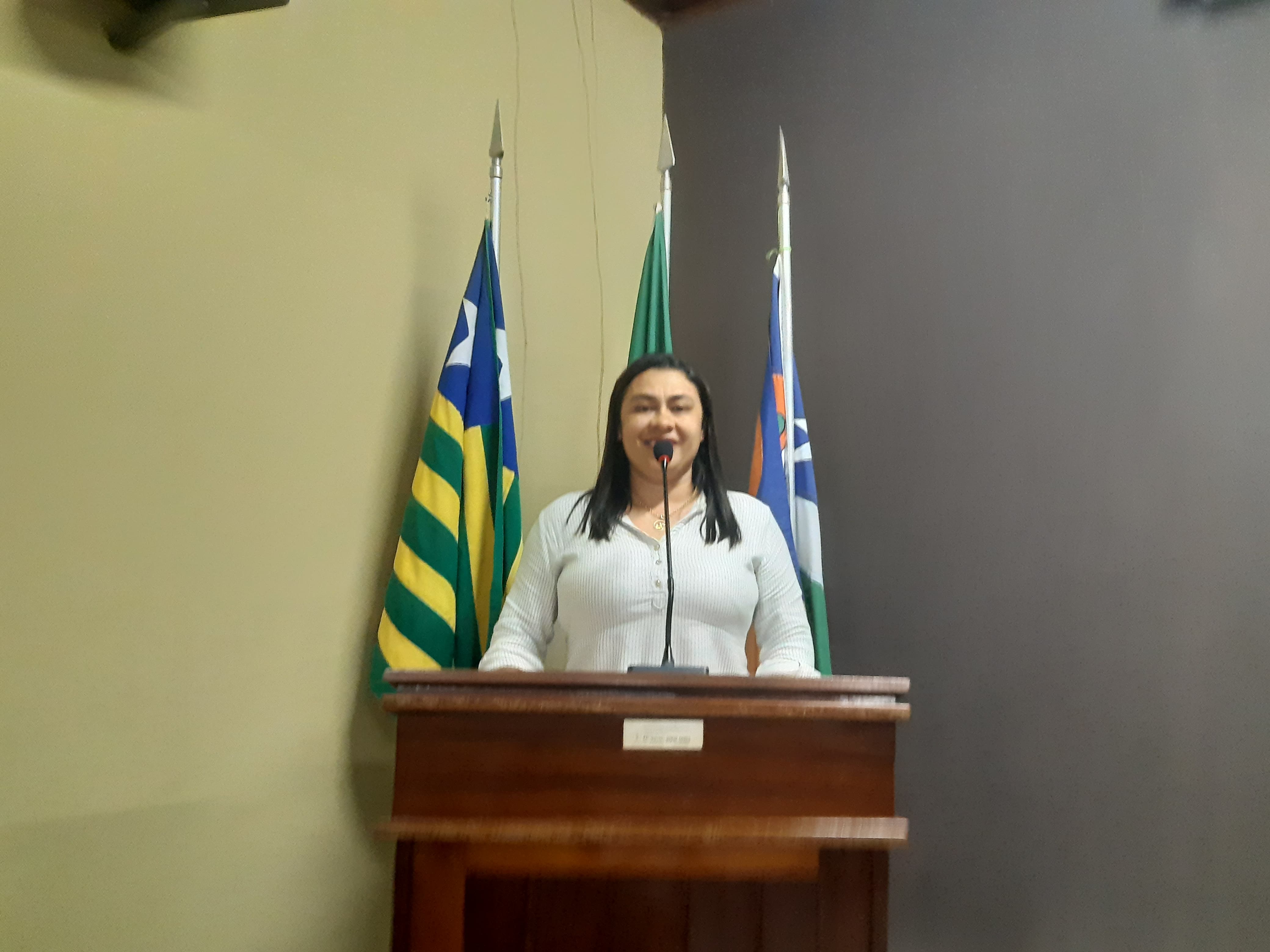 Requerimento da ver. Nega busca junto ao Executivo uma passagem molhada próximo ao Antônio Branco 