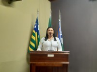Requerimento da ver. Nega busca junto ao Executivo uma passagem molhada próximo ao Antônio Branco 